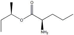 (R)-2-アミノペンタン酸(R)-1-メチルプロピル 化学構造式