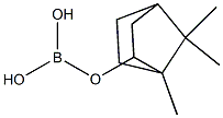 ほう酸二水素1,7,7-トリメチルビシクロ[2.2.1]ヘプタン-2-イル 化学構造式