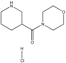 4-Morpholinyl(3-piperidinyl)methanonehydrochloride