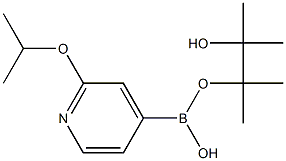 2-Isopropoxypyridine-4-boronic acid pinacol ester Structure