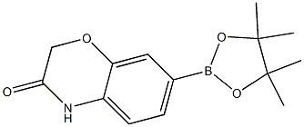 7-(4,4,5,5-Tetramethyl-[1,3,2]dioxaborolan-2-yl)-4H-benzo[1,4]oxazin-3-one 化学構造式