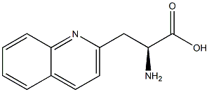 3-(2-喹啉基)-L-丙氨酸 结构式