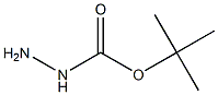 Tert-butoxycarbonyl hydrazine|叔丁氧基羰基肼