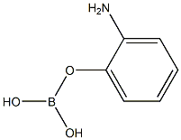 aminophenylboric acid|胺苯硼酸