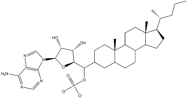 cholyl-adenylate