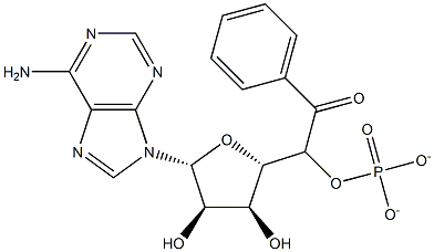 benzoyl-adenylate