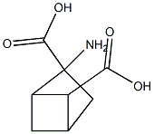  2-aminobycyclo(2.1.1)hexane-2,5-dicarboxylic acid