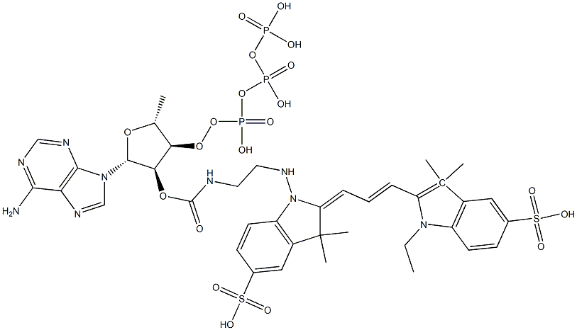 3'(2')-O-(N-(2-((2-((1-ethyl-3,3-dimethyl-5-sulfoindol-2-yl)prop-2-enylidene)-3,3-dimethyl-5-sulfoindol-1-yl)amino)ethyl)carbamoyl)-adenosine triphosphate,,结构式