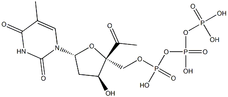  4'-acetylthymidine 5'-triphosphate