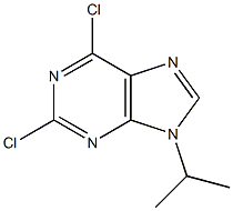 2,6-DICHLORO-9-ISOPROPYLPURINE 97% (HPLC) 结构式