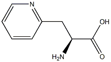 (S)-2-AMINO-3-(PYRIDIN-2-YL)PROPANOIC ACID,,结构式