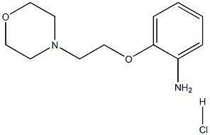 2-(2-Morpholinoethoxy)aniline, HCl 化学構造式