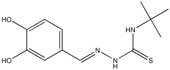  N1-(tert-butyl)-2-(3,4-dihydroxybenzylidene)hydrazine-1-carbothioamide