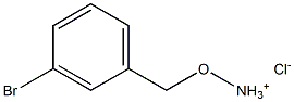 1-[(ammoniooxy)methyl]-3-bromobenzene chloride|