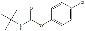 4-chlorophenyl N-(tert-butyl)carbamate Structure