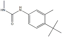 N-[4-(tert-butyl)-3-methylphenyl]-N'-methylurea 结构式