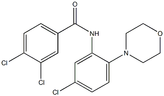 3,4-dichloro-N-(5-chloro-2-morpholinophenyl)benzenecarboxamide,,结构式