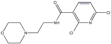 2,6-dichloro-N-(2-morpholinoethyl)nicotinamide Struktur