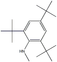 N1-methyl-2,4,6-tri(tert-butyl)aniline 结构式