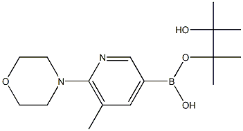 5-Methyl-6-(4-morpholino)pyridine-3-boronic acid pinacol ester 化学構造式