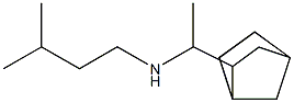  (1-{bicyclo[2.2.1]heptan-2-yl}ethyl)(3-methylbutyl)amine