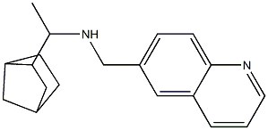 (1-{bicyclo[2.2.1]heptan-2-yl}ethyl)(quinolin-6-ylmethyl)amine