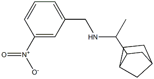 (1-{bicyclo[2.2.1]heptan-2-yl}ethyl)[(3-nitrophenyl)methyl]amine