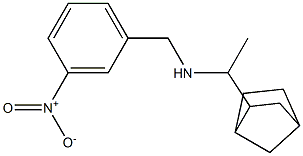 (1-{bicyclo[2.2.1]heptan-2-yl}ethyl)[(3-nitrophenyl)methyl]amine|