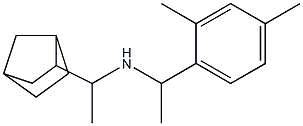 (1-{bicyclo[2.2.1]heptan-2-yl}ethyl)[1-(2,4-dimethylphenyl)ethyl]amine 化学構造式