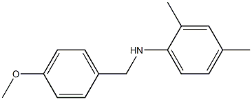 (2,4-dimethylphenyl)(4-methoxyphenyl)methylamine