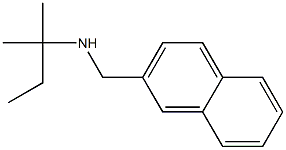 (2-methylbutan-2-yl)(naphthalen-2-ylmethyl)amine