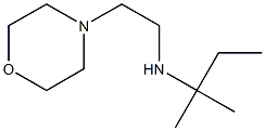 (2-methylbutan-2-yl)[2-(morpholin-4-yl)ethyl]amine Structure