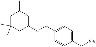 (4-{[(3,3,5-trimethylcyclohexyl)oxy]methyl}phenyl)methanamine