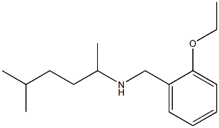 [(2-ethoxyphenyl)methyl](5-methylhexan-2-yl)amine 化学構造式