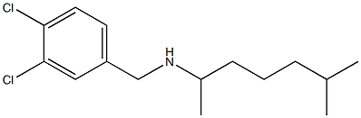 [(3,4-dichlorophenyl)methyl](6-methylheptan-2-yl)amine,,结构式