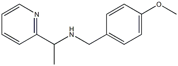  [(4-methoxyphenyl)methyl][1-(pyridin-2-yl)ethyl]amine