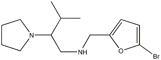 [(5-bromofuran-2-yl)methyl][3-methyl-2-(pyrrolidin-1-yl)butyl]amine|