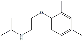 [2-(2,4-dimethylphenoxy)ethyl](propan-2-yl)amine,,结构式