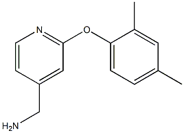 [2-(2,4-dimethylphenoxy)pyridin-4-yl]methylamine 结构式