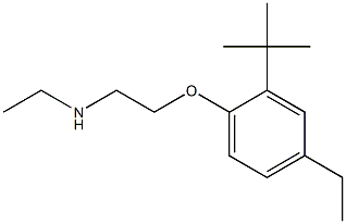 [2-(2-tert-butyl-4-ethylphenoxy)ethyl](ethyl)amine 化学構造式