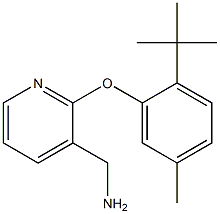 [2-(2-tert-butyl-5-methylphenoxy)pyridin-3-yl]methanamine,,结构式