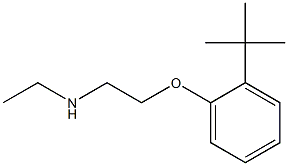 [2-(2-tert-butylphenoxy)ethyl](ethyl)amine,,结构式