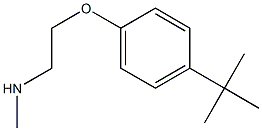 [2-(4-tert-butylphenoxy)ethyl](methyl)amine Structure