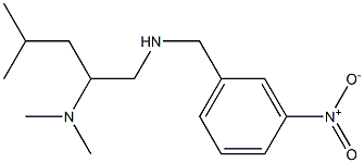 [2-(dimethylamino)-4-methylpentyl][(3-nitrophenyl)methyl]amine