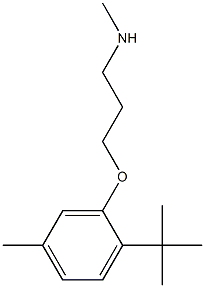 [3-(2-tert-butyl-5-methylphenoxy)propyl](methyl)amine Struktur