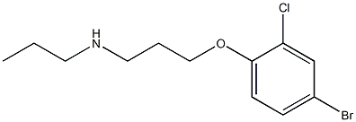 [3-(4-bromo-2-chlorophenoxy)propyl](propyl)amine