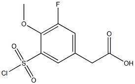 [3-(chlorosulfonyl)-5-fluoro-4-methoxyphenyl]acetic acid