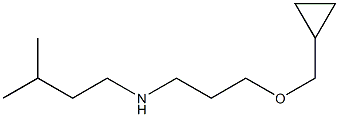 [3-(cyclopropylmethoxy)propyl](3-methylbutyl)amine 结构式
