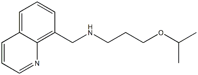 [3-(propan-2-yloxy)propyl](quinolin-8-ylmethyl)amine 结构式