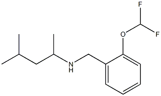  {[2-(difluoromethoxy)phenyl]methyl}(4-methylpentan-2-yl)amine